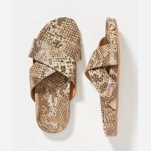 Seychelles slide sandals